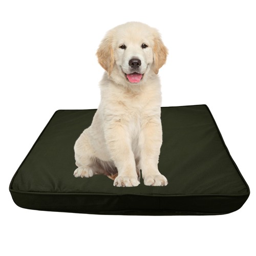 Pet dog bed cat - dog,