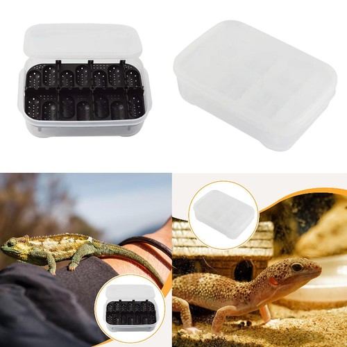 Reptile breeding box egg - breeding,