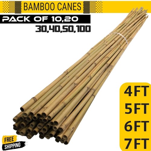 4ft 5ft 6ft 7ft bamboo - bamboo, garden