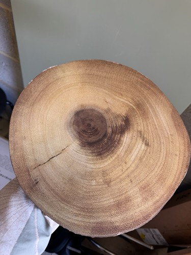 Wood effect log slices - log, 2cm