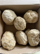 6 Unbroken  Medium DIY Whole