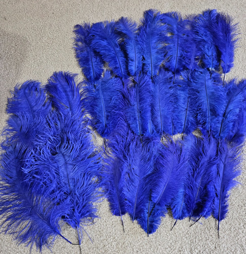 Pcs ostrich feathers - pcs,