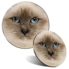 Mouse Mat & Coaster Set - Blue