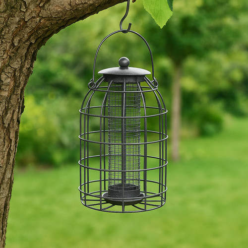 Wild bird nut peanut - wild,
