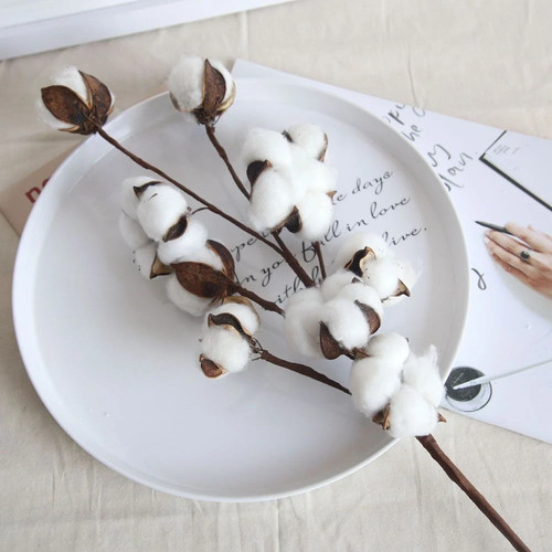Naturally dried heads - 10,