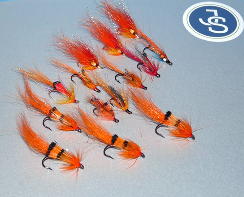 Stunning quality salmon - stunning,
