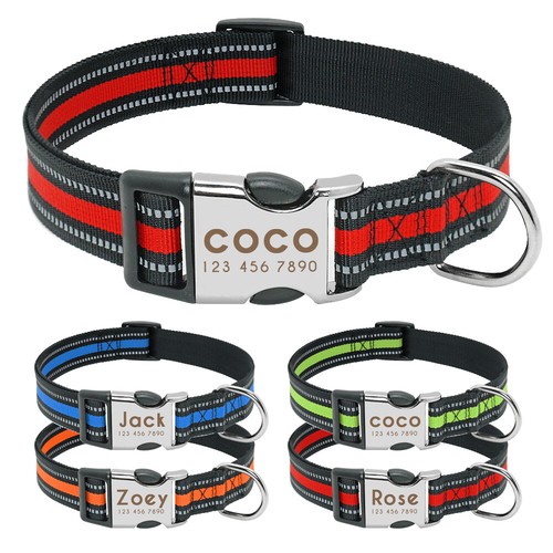 Reflective nylon pet - reflective,