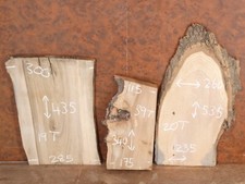 Mixed Species Bundle/Job Lot