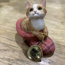 Cat in slipper The Leonardo