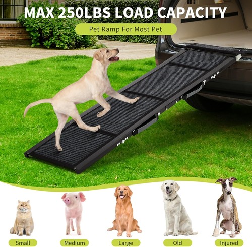 Long pet dog - long, car