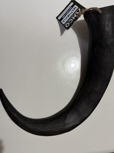 Anco giant buffalo - giant, horn