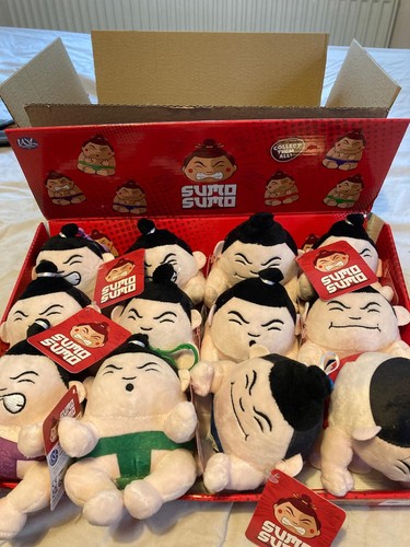 New sumo wrestler - sumo,