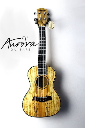 Aiersi su084 spalted maple - aiersi,