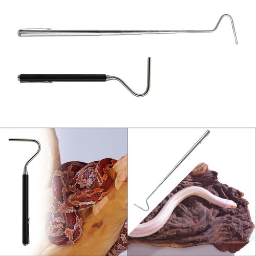 Snake hook reptile handling - hook,