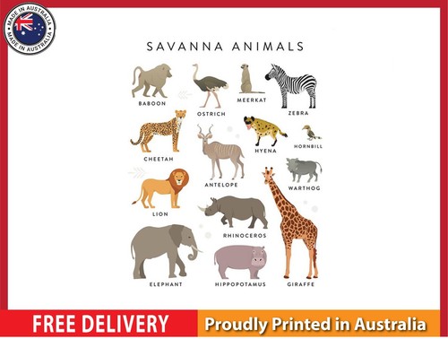 New savanna - new,