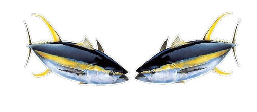 Fishing angling stickers - fishing,