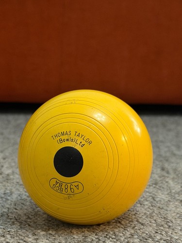 Thomas taylor yellow - thomas,