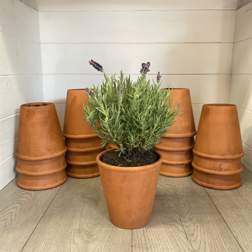 Vintage terracotta pot - vintage,