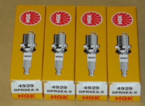 Spark plugs ngk for - ngk, honda