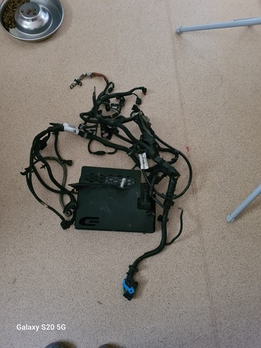 2009 ford focus mk3 ecu - focus,