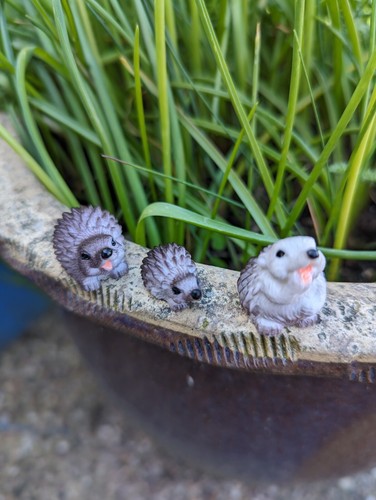 Cute hedgehog micro landscape - hedgehog,