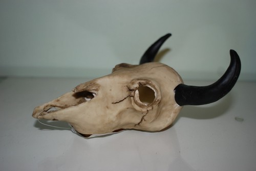 Vivarium decoration goat skull - decoration,