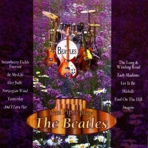Pan pipes play the beatles - pan,