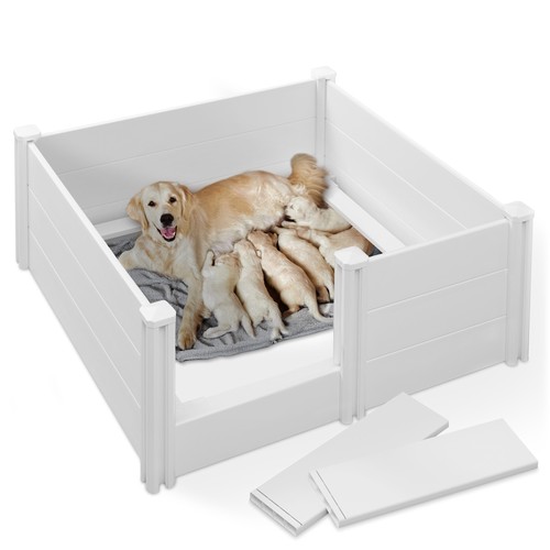 Dog whelping box - dog, rails