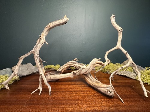Pack manzanita driftwood - manzanita,