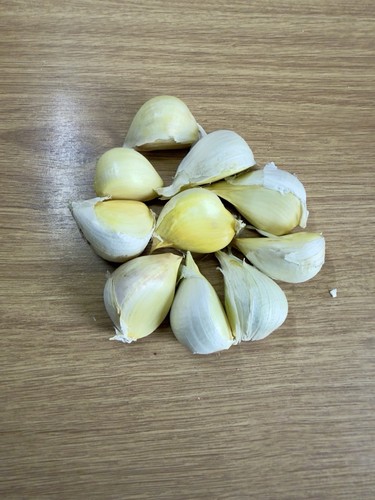 Organic elephant garlic - elephant,