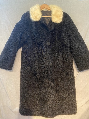 Vintage black persian curly - vintage,