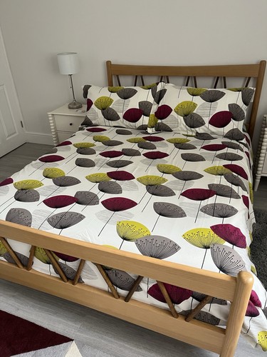 Sanderson dandelion clocks - dandelion,