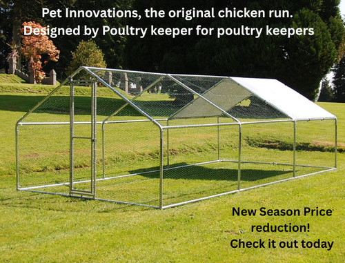 Walk chicken run - chicken, coop