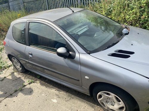 Peugeot 206 door - 3, wing