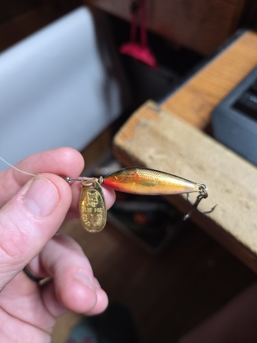 Blue fox super - super, minnow