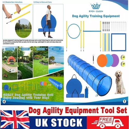 Dog agility equipment tool - agility,