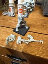 Ogre Kingdoms Firebelly