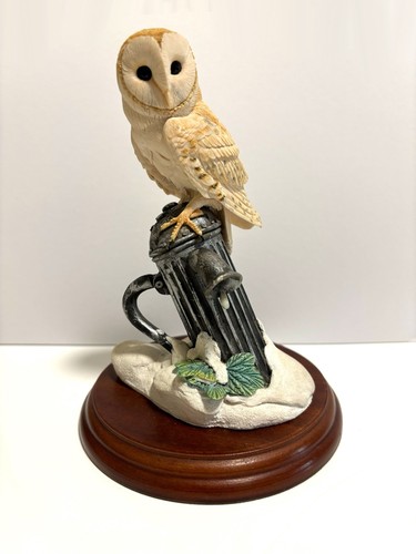 Border fine arts owl - owl, on