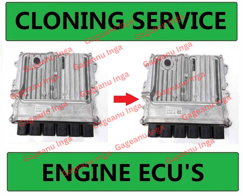 Cloning service for ems3155 - cloning,