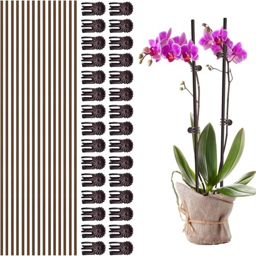 15pcs 40cm plant support - 40cm,
