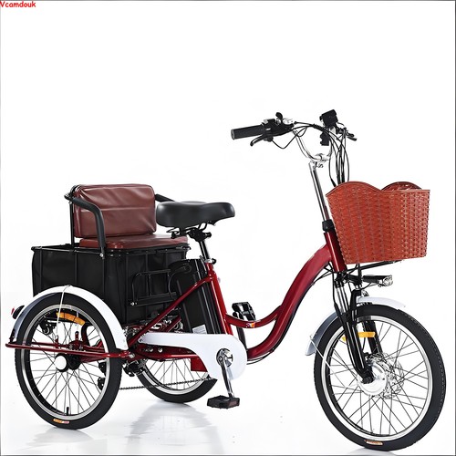 Electric trike 48v 13a 3 - trike,