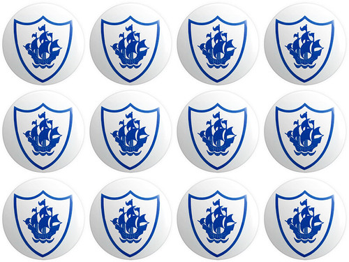 Blue peter button - peter, pin