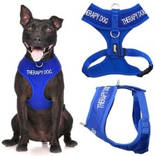 THERAPY DOG Blue Non Pull