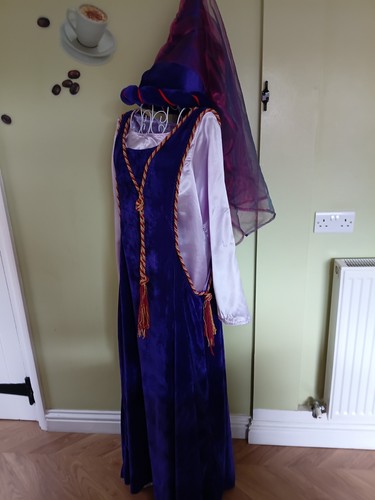 Medieval dress and top - dress,