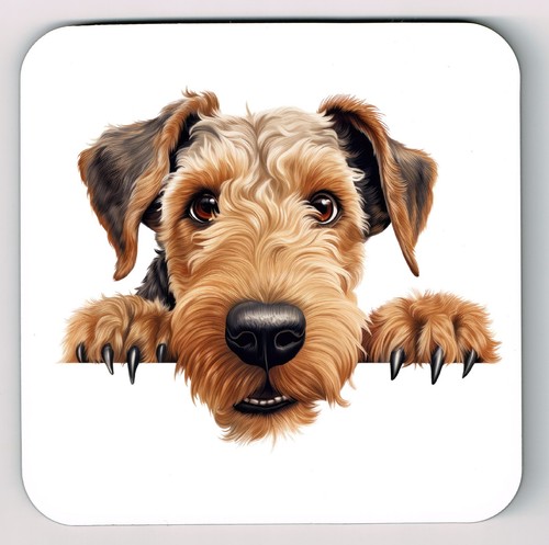 Peeking peeping airedale - ,