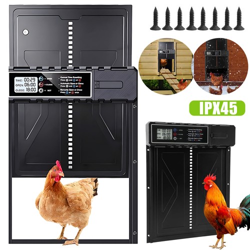 Automatic chicken coop door - chicken,