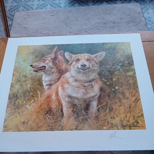 Mick cawston corgis signed - cawston, "corgis"