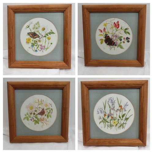 Vintage framed butterfly - 4, x
