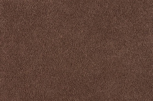 Turtle mat dirt - turtle, trapper