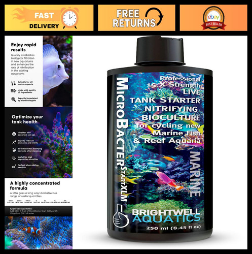 Concentrated saltwater - concentrated,